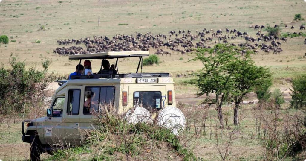 Best Safari Tour Operators: Which Companies Are Worth It? Best safari tour operators in Africa — land cruiser at golden hour on open savanna with elephants in background