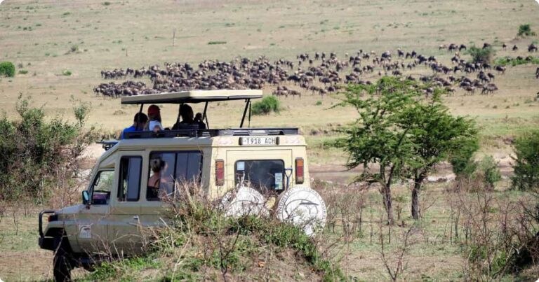 Best Safari Tour Operators: Which Companies Are Worth It? Best safari tour operators in Africa — land cruiser at golden hour on open savanna with elephants in background
