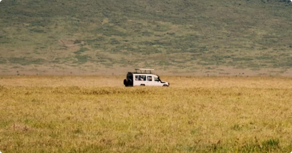 Safari vehicle on a dust track through open savanna at golden hour, Kruger National Park area, South Africa
