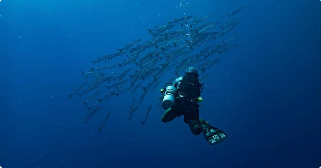 Snorkeler swimming above coral reef in Moorea lagoon with tropical fish, French Polynesia