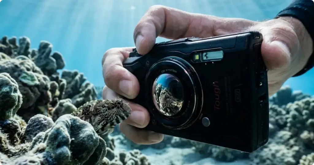 Compact waterproof camera capturing macro reef fish detail underwater — OM System TG-7 snorkeling review