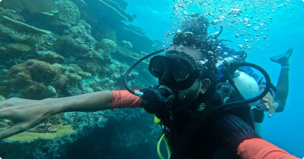 Snorkeling Reethi Faru Resort Maldives — best all-inclusive resort for house reef with 200+ fish species