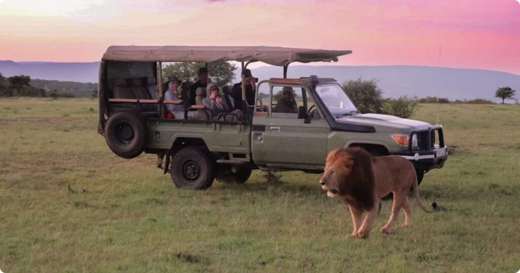 Sabi Sands vs Kruger National Park: Which Safari is Better? Leopard resting near an open safari vehicle in Sabi Sands Game Reserve, South Africa