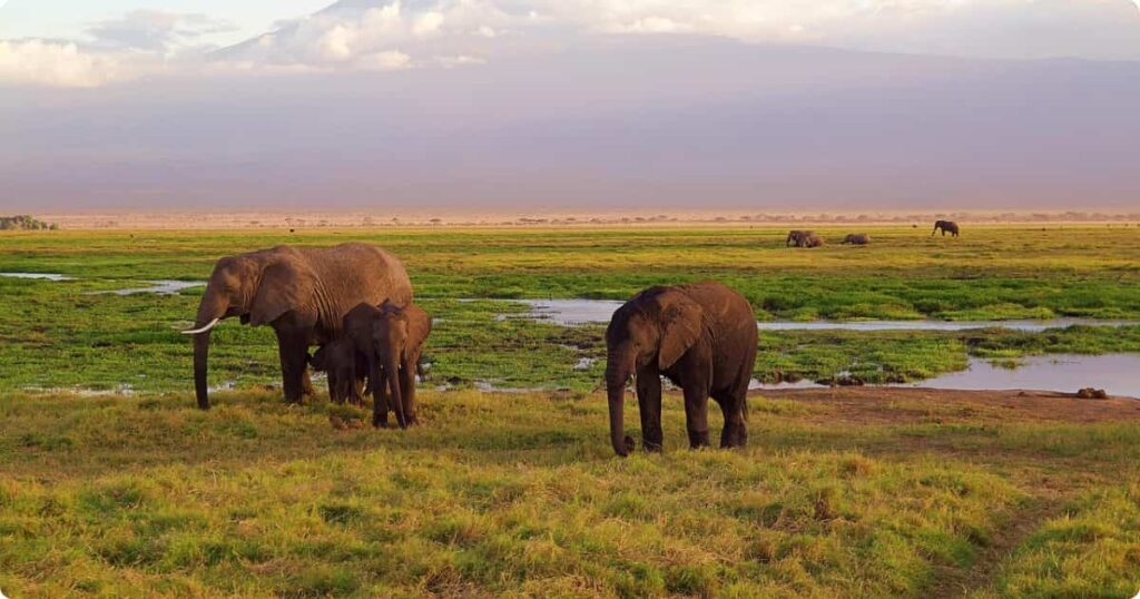 Aerial view of South Africa Lowveld savanna landscape showing vast wilderness for a 7-day safari itinerary