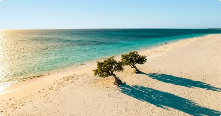 Aerial view of Eagle Beach Aruba wide white sand and turquoise Caribbean water at golden hour