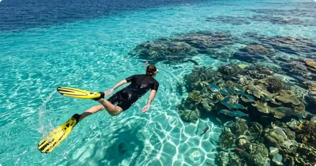 Snorkeler floating above coral reef in crystal clear Aruba Caribbean water