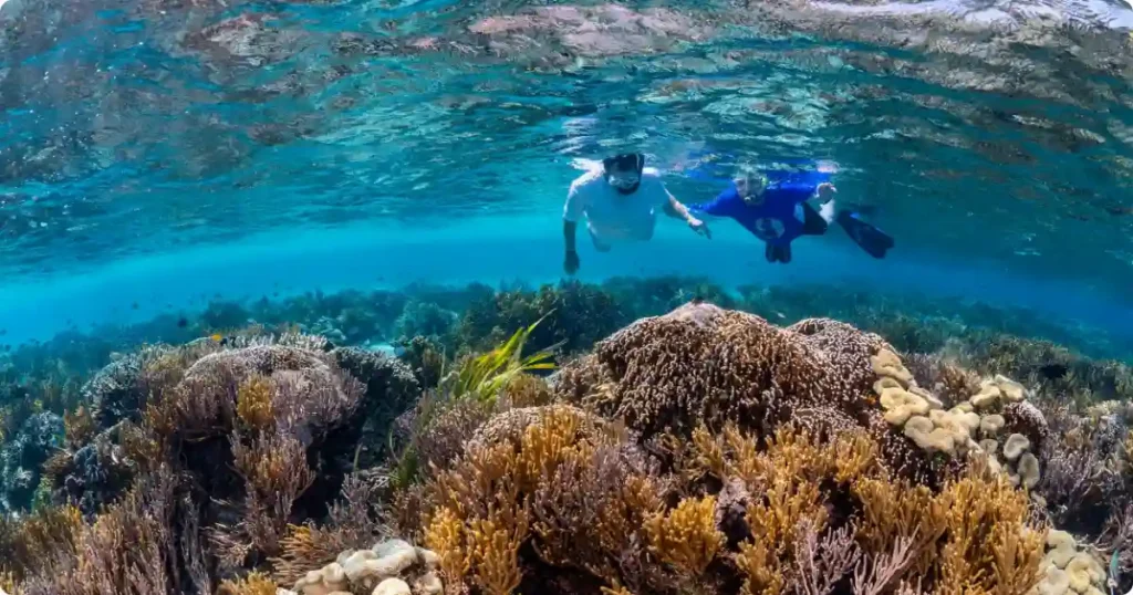 Snorkeler above vibrant Caribbean coral reef in crystal-clear turquoise water