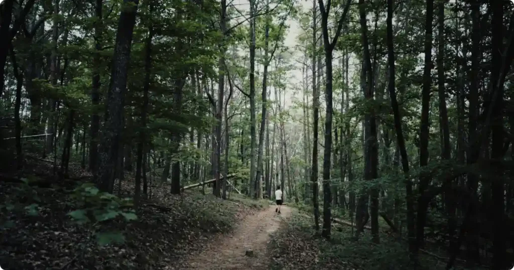 rumley Mountain Trail dirt path through Appalachian forest on Great Channels hike