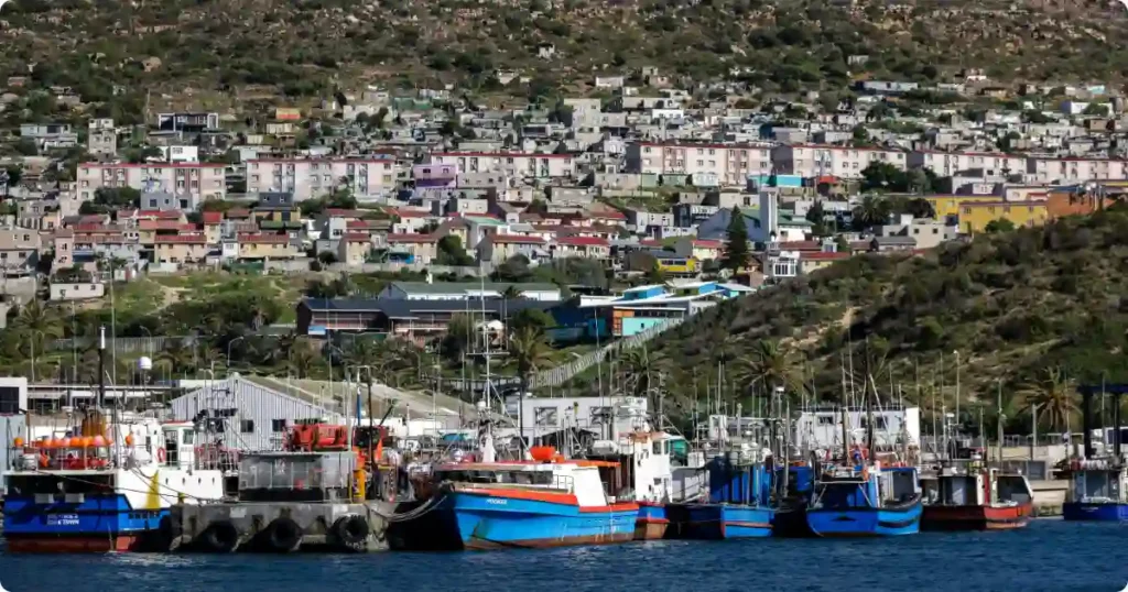 Charter boats moored at Gansbaai harbour before shark cage diving departure at dawn