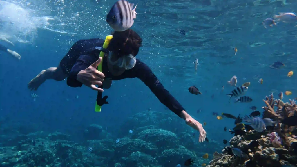 Snorkeler wearing dual-lens mask above tropical coral reef — best snorkel mask for travel