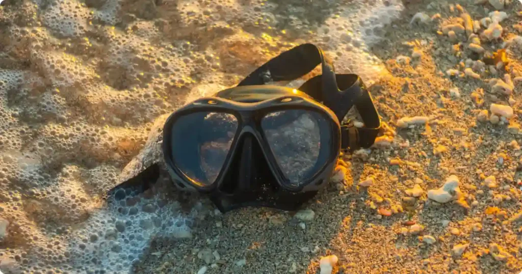 Snorkel mask dry snorkel and fins on driftwood at tropical beach edge