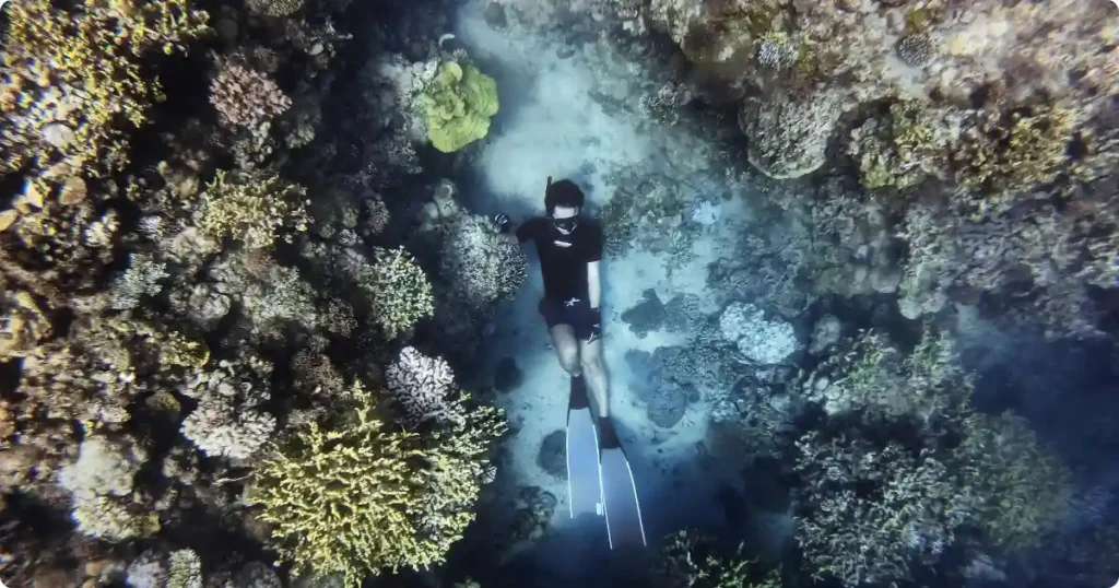Best Snorkeling Tours: GetYourGuide vs Viator vs Local Operators Snorkeler descending toward vibrant coral reef with sunlight beams in tropical turquoise water