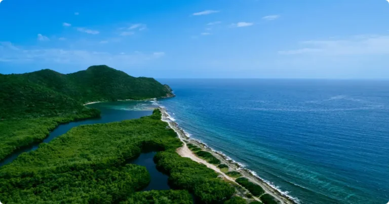 Aerial view of St Croix USVI coastline with turquoise Caribbean water and white sand beach