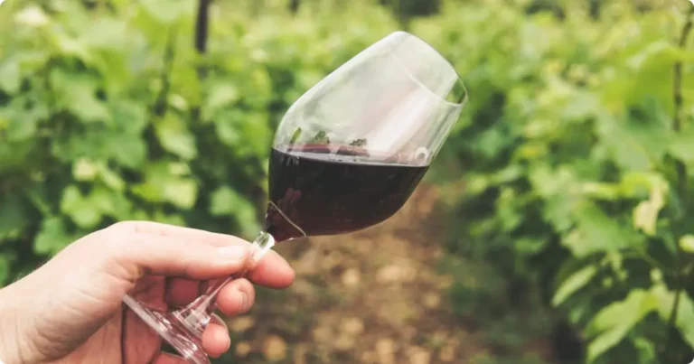 We Toured 6 of the Best Wine Regions in the World: Honest Ranked Review Wine glass held up against terraced European vineyard at golden hour — best wine regions in the world
