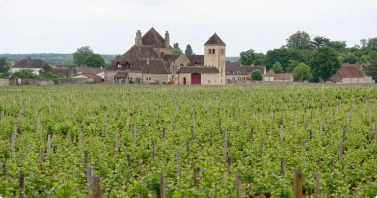 Rolling Burgundy vineyards at golden hour with wine glass in foreground, Côte d'Or, France