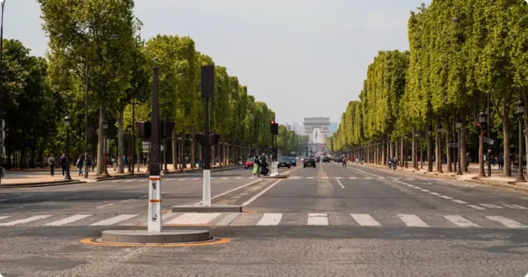 Avenue de Champagne in Épernay France lined with historic champagne houses and vineyard views