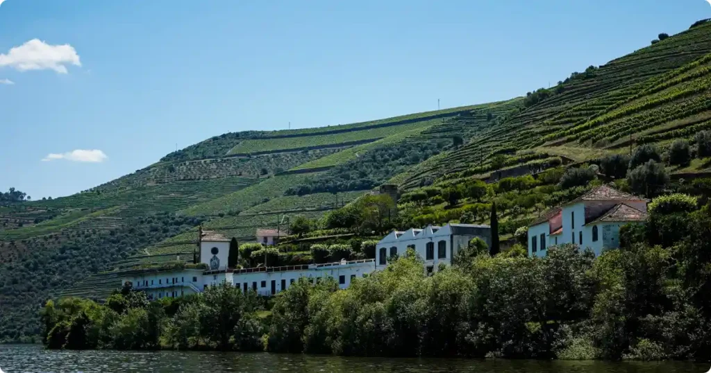 Terraced vineyards overlooking the Douro River in Portugal top-rated European wine tour experience