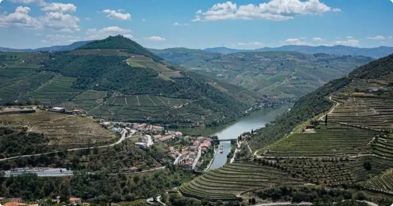 Terraced vineyards overlooking the Douro River, seen on a full-day wine tour from Porto, Portugal