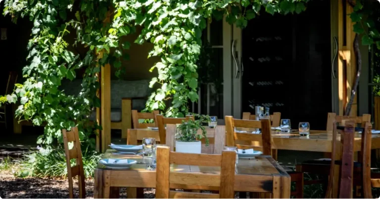 Franschhoek Food and Wine: The Complete Insider Guide Long lunch table set among Franschhoek vineyards with mountain backdrop and wine glasses, Western Cape