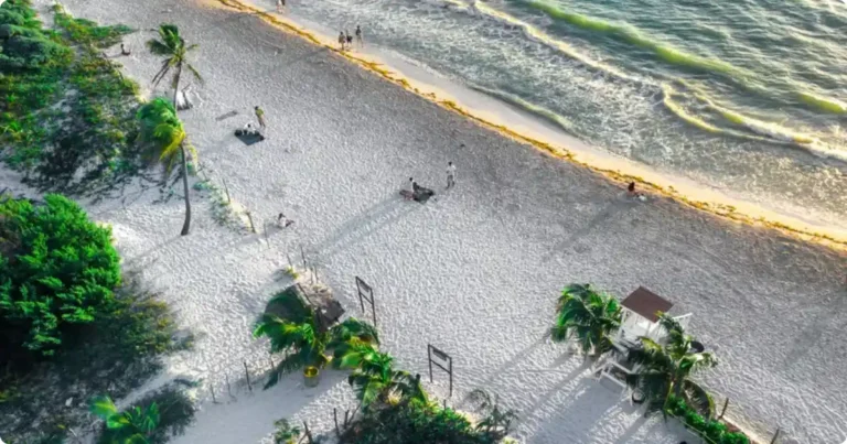 Playa del Carmen: The Ultimate Beach & Foodie Guide Aerial view of Playa del Carmen turquoise Caribbean coastline and white sand beach Mexico