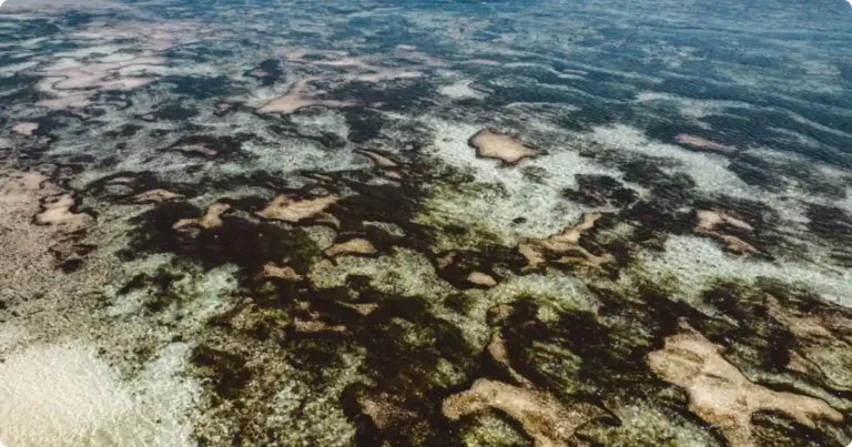 San Pedro Belize: Complete Island Guide Aerial view of San Pedro Ambergris Caye Belize showing the Caribbean Sea and barrier reef from above